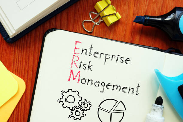 Enterprise Risk Management Plan (ERM)