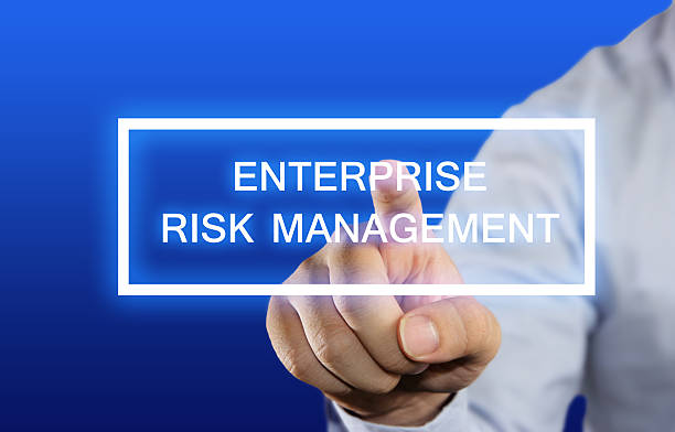 Enterprise Risk Management Plan (ERM)