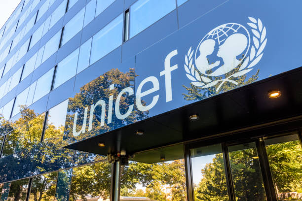 UNICEF Masters Scholarship: How to Apply in 2024